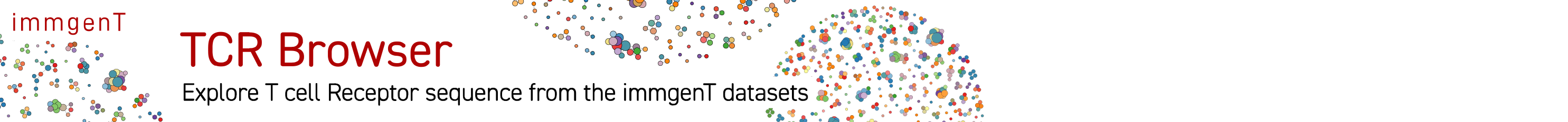 immgenT TCR Browser